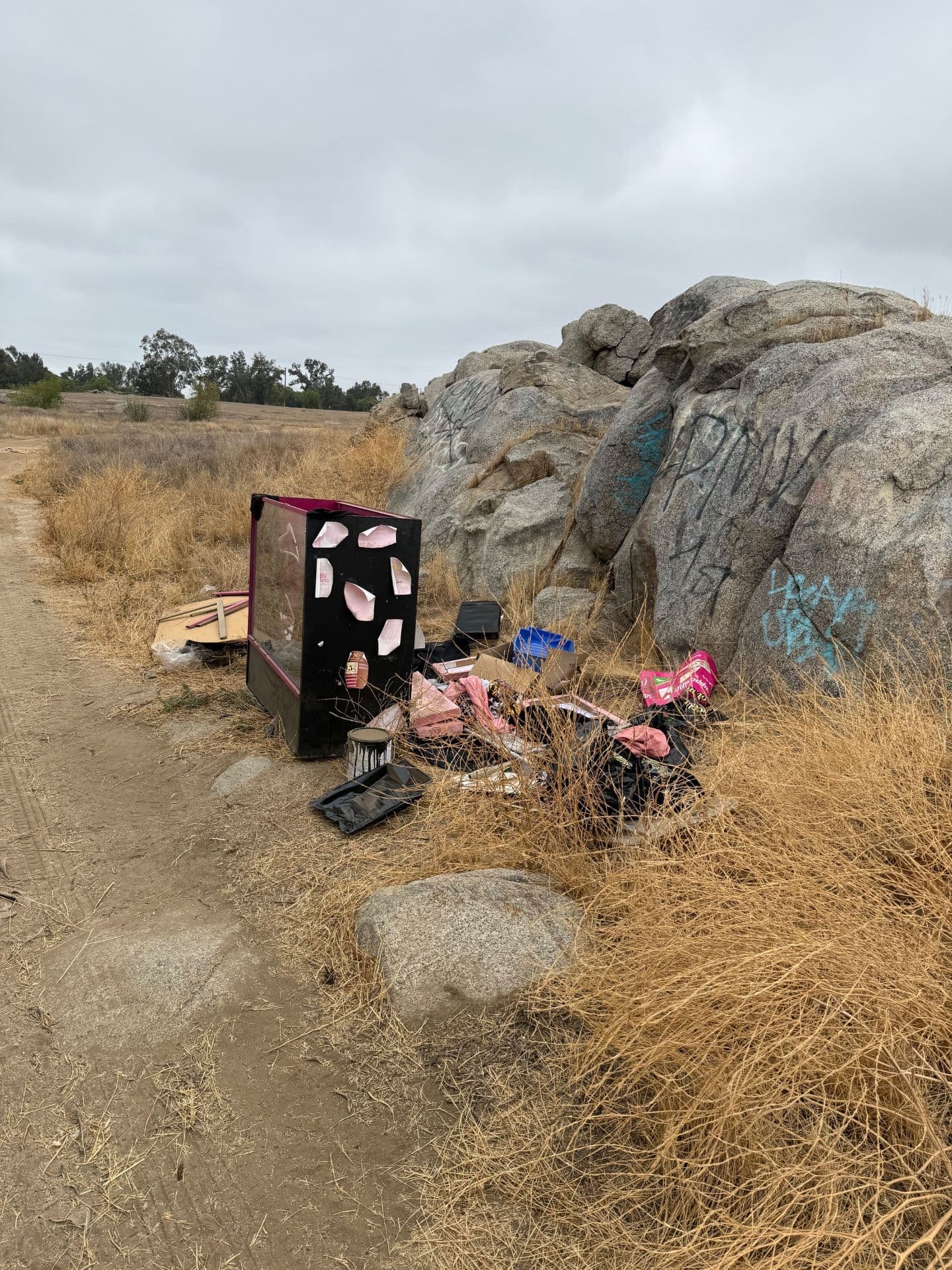 Protect Your Business with Licensed Junk Removal