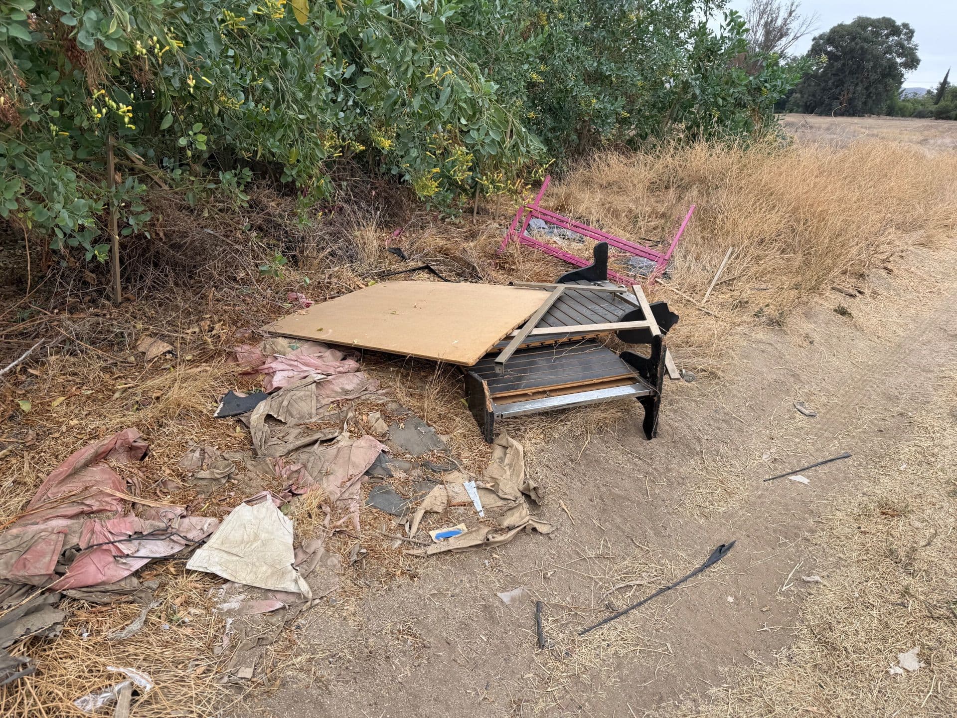 Protect Your Business with Licensed Junk Removal