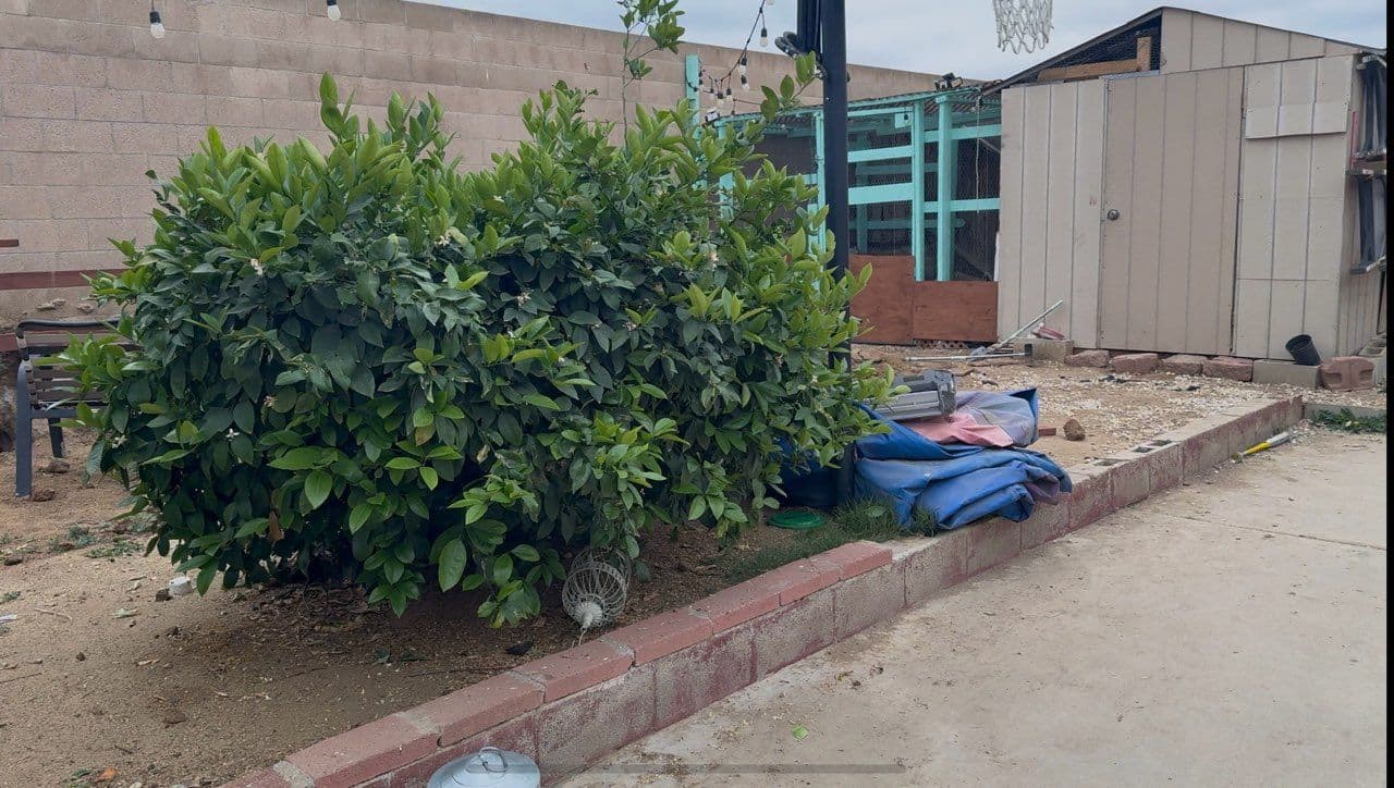 Efficient Yard Waste Removal in Riverside image