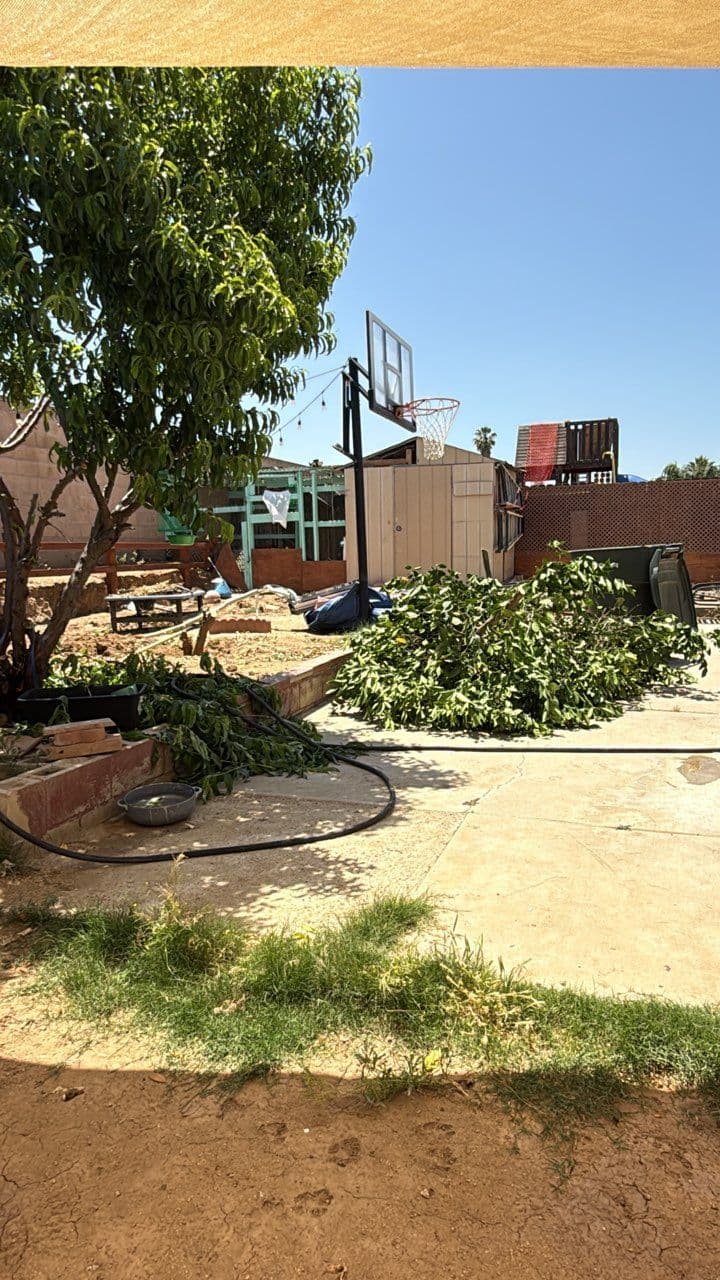 Gallery photos for Efficient Yard Waste Removal in Riverside: Image #1